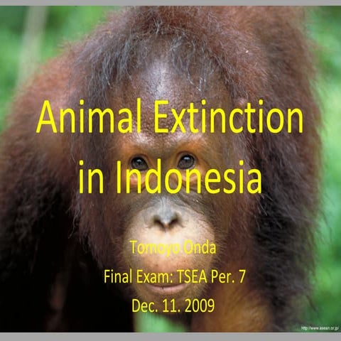 Animal extinction in indonesia final exam
