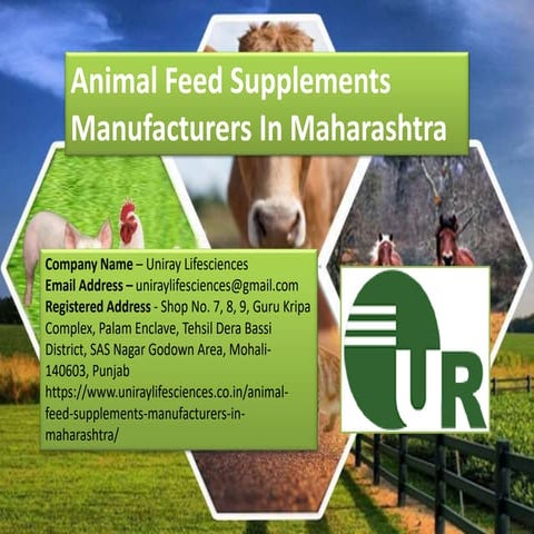 Animal Feed Supplements Manufacturers In Maharashtra | PPTX