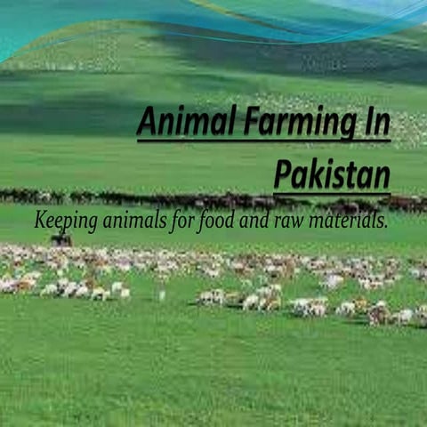 Animal farming in pakistan