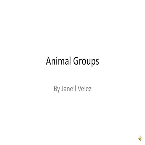 Animal Groups Basal Reader
