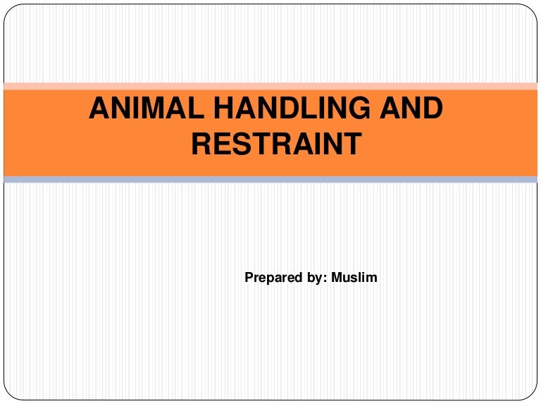 Animal handling & Restrain