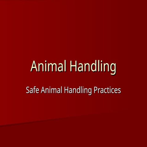 Animal Handling: Sake animal handling practices | PPT
