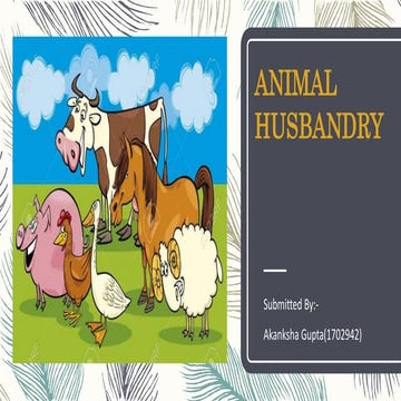 Animal husbandary