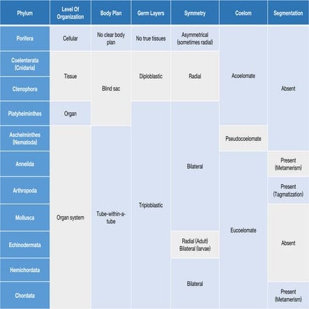 Invertebrates chart | PDF