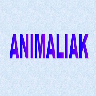 Animaliak aurkezpena 2010 2011