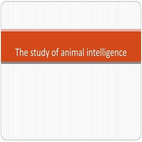 Cognition in animal behavior presentation.pptx