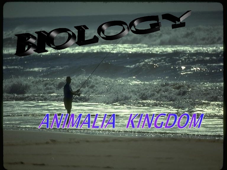 Animal kingdom