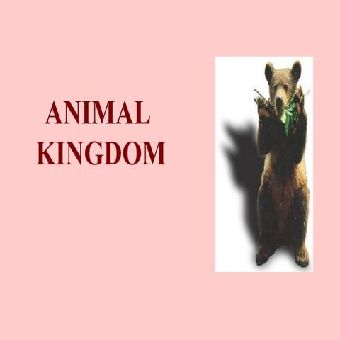 Animal Kingdom | PPTX