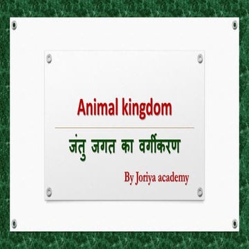 Animal kingdom slideshare | PPTX