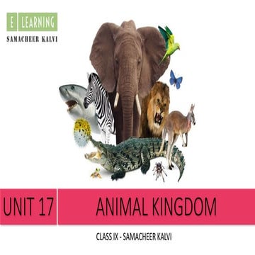 Animal Kingdom Part 1 | PPTX