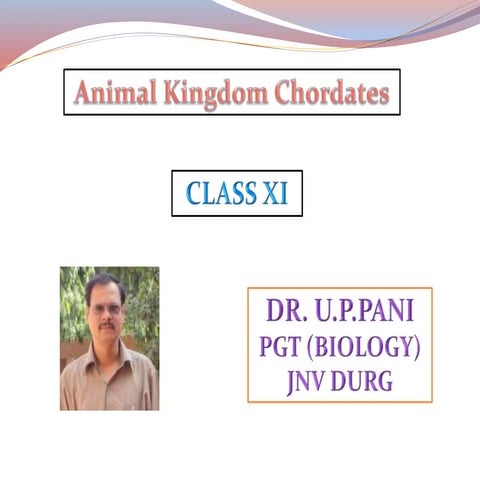 Animal kingdom Chordates