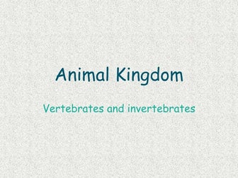 Animal kingdom: invertebrates
