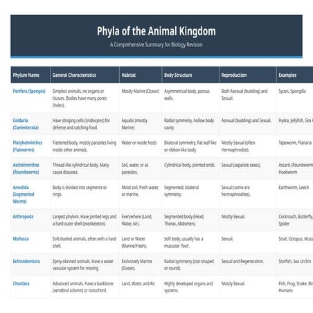 Detailed Overview of Animal Kingdom Phyla: Characteristics and Examples ...