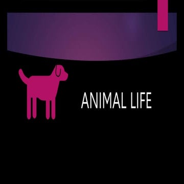 Body Parts of Animals and their Functions.pptx