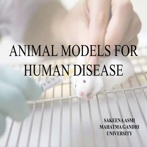 Animal models