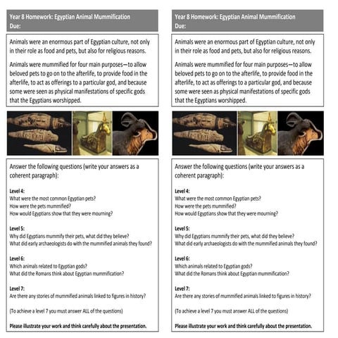 Animal mummification | PPT