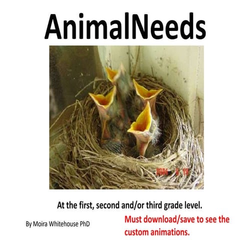 Animal needs (teach 1st, 2nd, 3th grades)