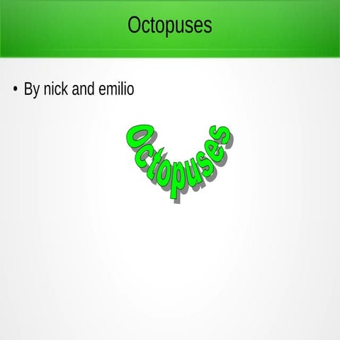 Octopus.pdf