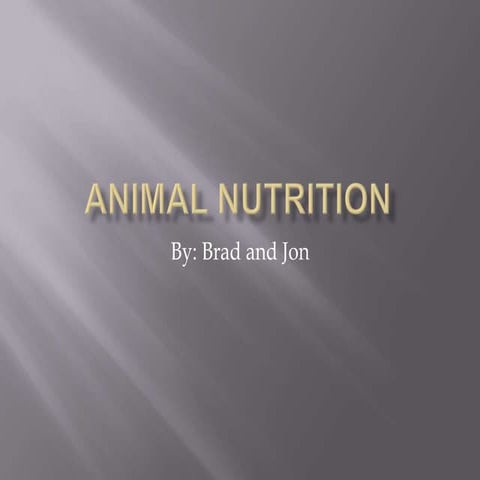 Animal nutrition