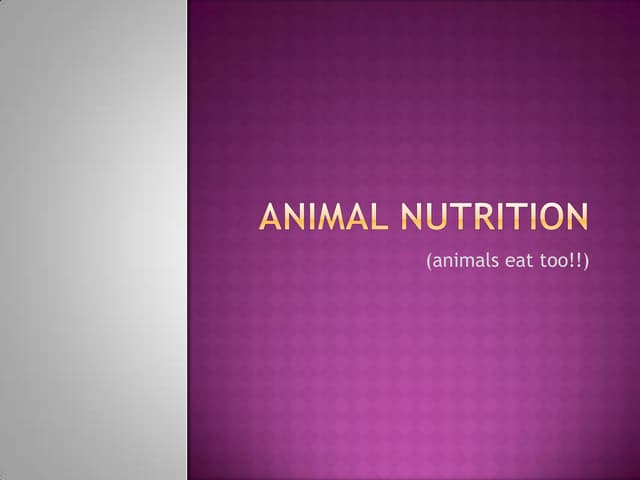 Animal nutrition