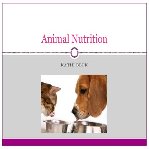 Animal nutrition