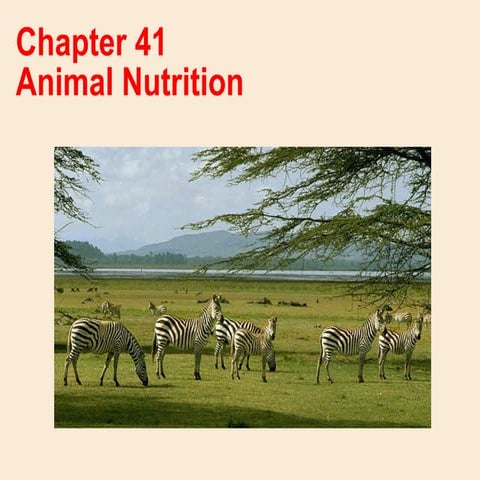 Animal nutrition