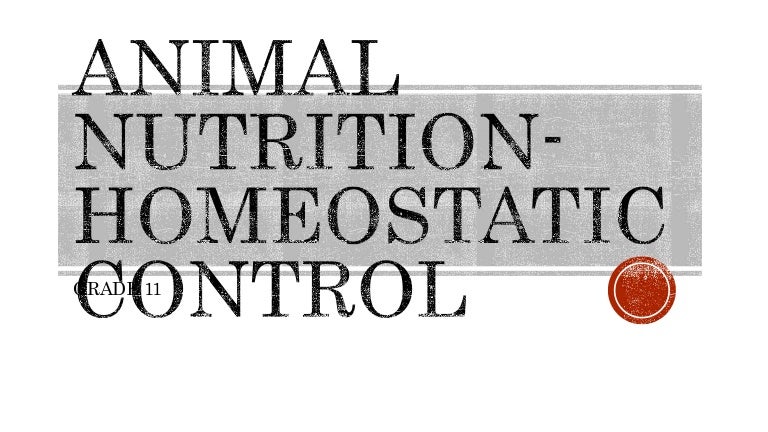 Animal nutrition
