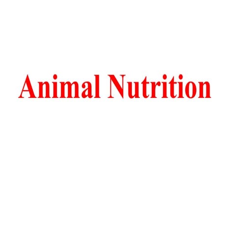 Animal nutrition.pdf