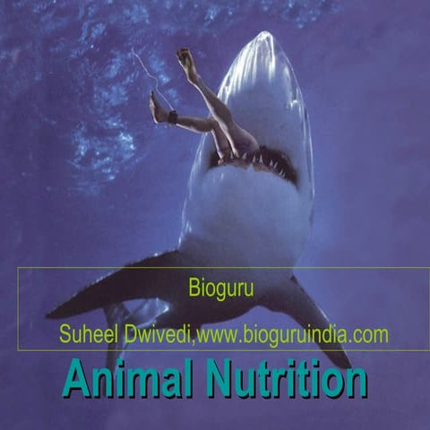 Animal Nutrition  (www.bioguruindia.com)