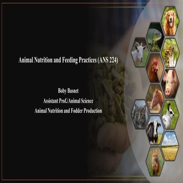 Animal Nutrition and Feeding Practices || Assist. Prof. Boby Basnet