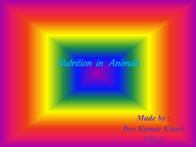 Animal nutrition ppt