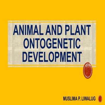 Ontogenetic Development of Drosophila