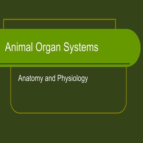 Animal organ systems