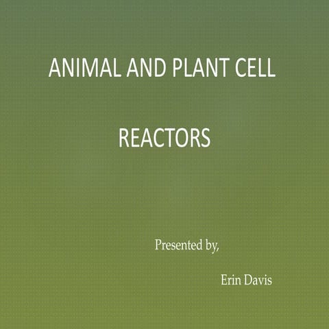 An overview of  the animal & plant cell reactors used in laboratories