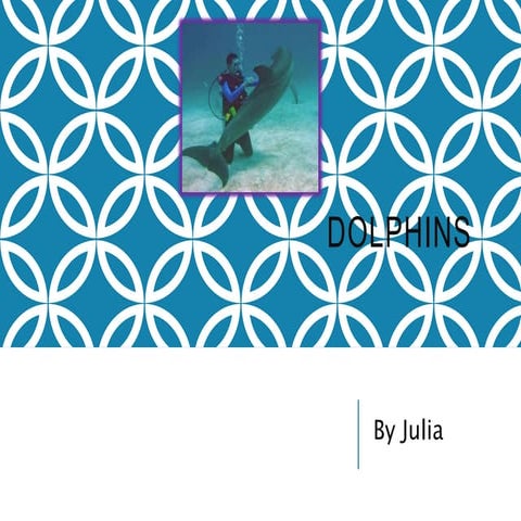 Animal powerpointjulia