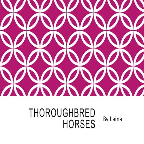 Animal powerpointlaina