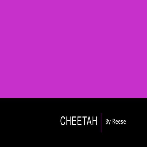 Animal powerpointreese