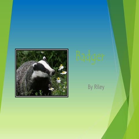 Animal powerpointriley