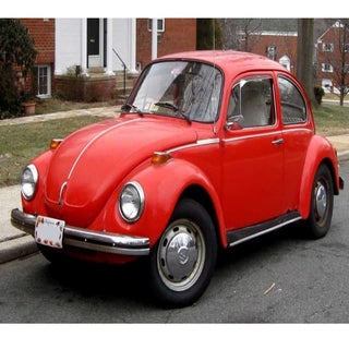 Animal project  the hercules beetle