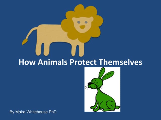  Animal protection (adapations teach)