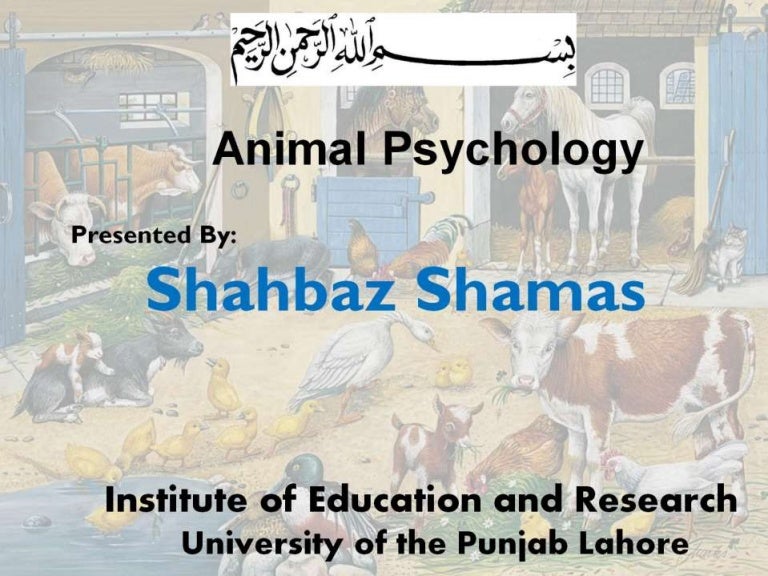 Animal psychology Best Presentation