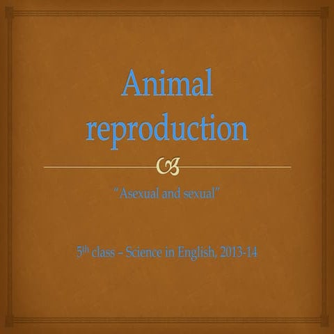 Animal reproduction