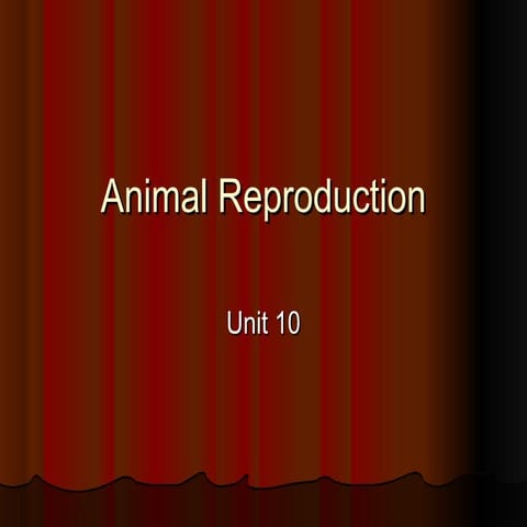 Animal reproduction