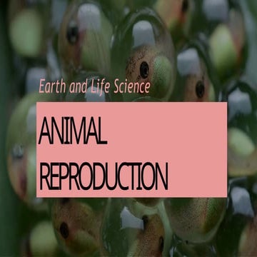 ANIMAL REPRODUCTION.pptxMMMMMMMMMMMMMMMMMMMMMMMMMMM