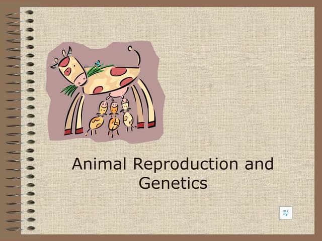 ANIMAL REPRODUCTION grade 5--------.pptx