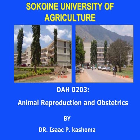 Animal reproduction and obstetrics