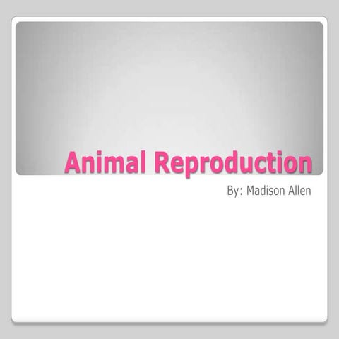 animalreproductionppt-102114905-phpapp01 (1).pptx