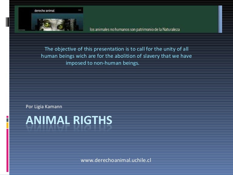 Animal Rights
