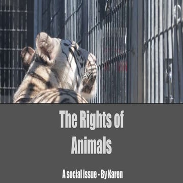 Animal rights   social issue by karen