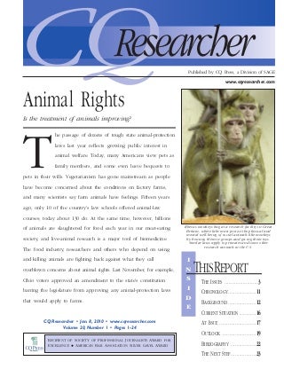 Dog Tip: Be Consistent